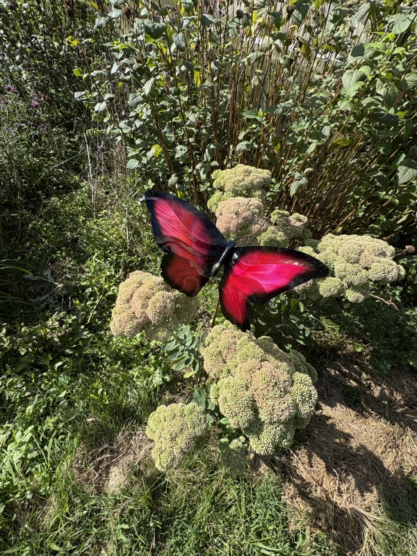 Copper Butterfly   Wall hanging - Image 6