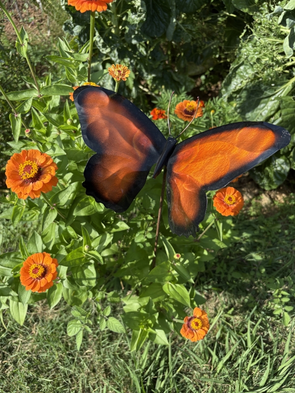 Copper Butterfly   Wall hanging - Image 4