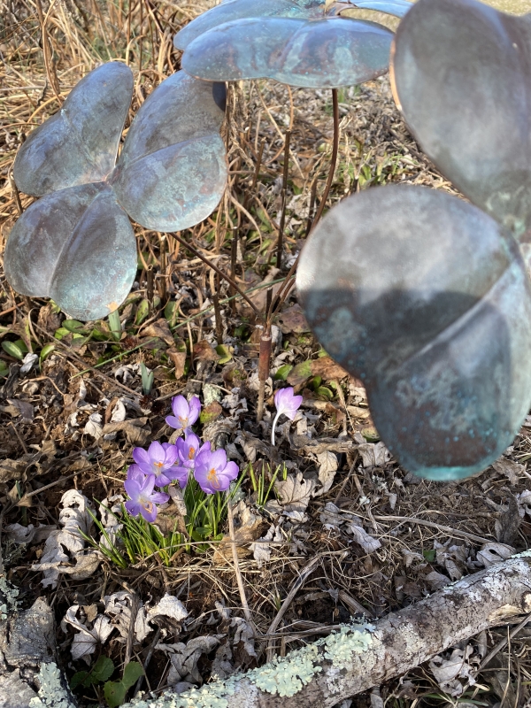Shamrock    Garden Stake - Image 3